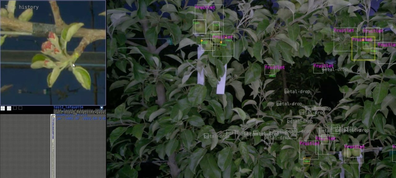 Verdant Robotics多作物平台