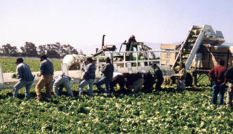 三点式散装装载机_中国AGV网(www.chinaagv.com) 三点式散装装载机_中国AGV网(www.chinaagv.com)