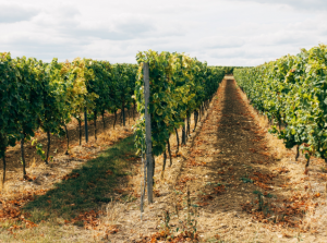 PL d 的安全解决方案