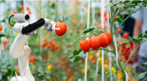 德国机器人和自动化行业正在经历“需求旺盛”