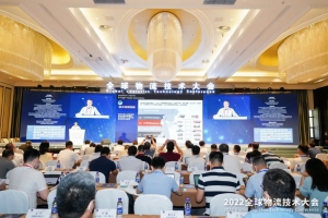 海豚之星——获奖 进步 蜕变