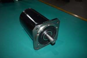 订制非标伺服电机