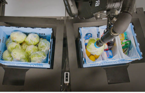 伯克希尔-格雷调查发现，仓库中的代沟可以通过机器人技术来弥补