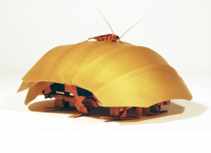 《自然》：昆虫为机器人的进步提供灵感