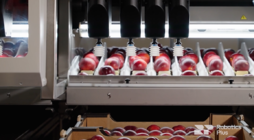 阿波罗水果包装机