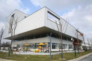 立镖共建上海最美社区卫生服务中心，小黄人变身蓝精灵，护疫苗取药精准快速