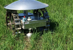 MOONDINO 稻田机器人_中国AGV网(www.chinaagv.com) MOONDINO 稻田机器人_中国AGV网(www.chinaagv.com)