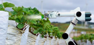 用于农业种植活动机器人的现在和未来