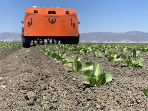 农业机器人是农业的未来吗？
