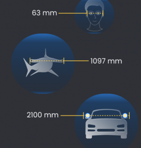 Hammerhead™ Vision