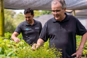 永恒力投资 500,000 雷亚尔用于大西洋森林的重新造林