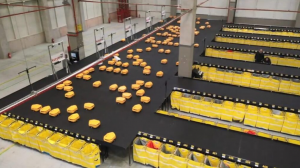 欧洲的机器人包裹分拣系统上线 