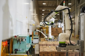 码垛作业效率与安全之困，看上海花王如何破局？