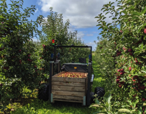 西克传感器助力自主果园收割机器人
