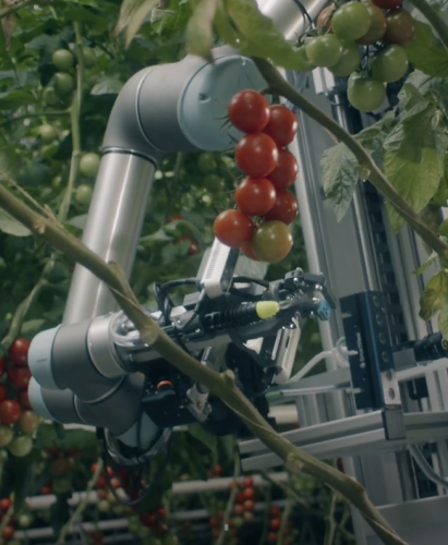  弗拉夫博特  机器人