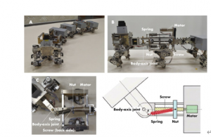 日本大阪大学开发仿生“Myriapod”机器人依靠动态不稳定性进行导航