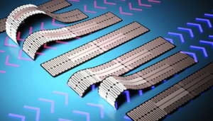 由毛毛虫启发：软体机器人的新运动方式