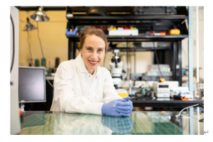 MIT科学家研究发现磁性机器人可以行走、爬行和游泳