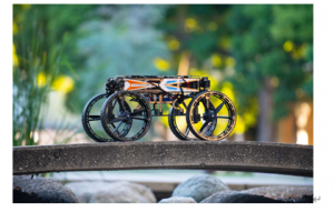 新型仿生机器人可以飞行、行走