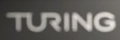日本Turing公司