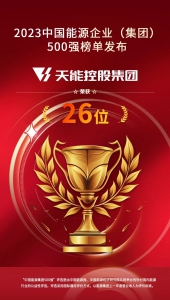 中国能源企业500强，天能排名26