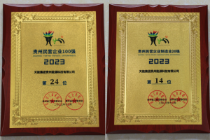 百强榜跃居24位，点赞台江公司！