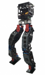 人形机器人 RoK-3