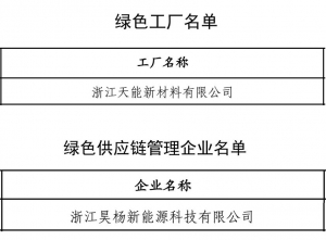 天能“国字号”金名片+2