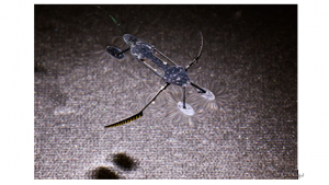 美国科学家研发出以昆虫为模型的微型机器人