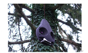 瑞士科学家研发机器人可在热带雨林的树冠层中穿梭