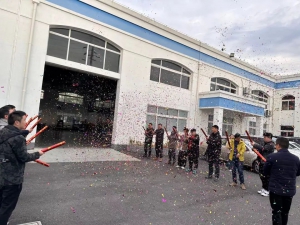 海豚之星开工大吉 | 诸事顺意，开门见喜