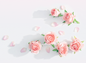 AGV网女神节祝福｜致敬移动机器人行业女性