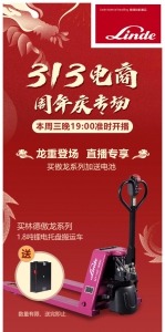 313电商周年庆专场力度飞起，嗨购来袭