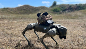 了解武装机器狗！