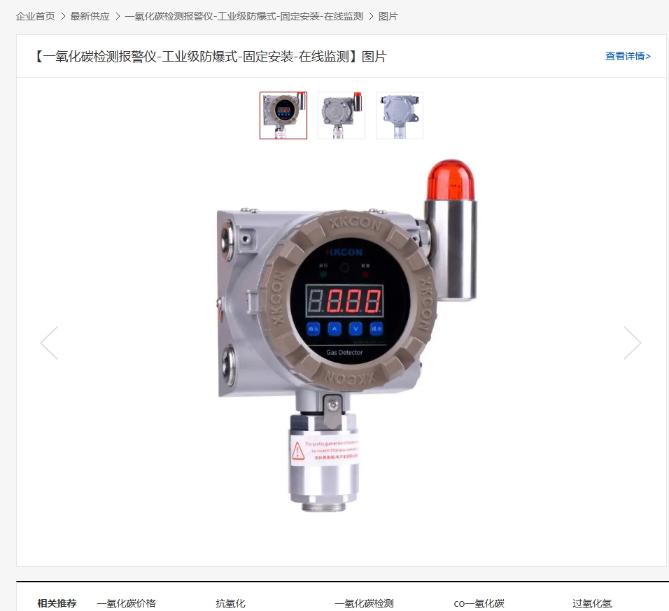 一氧化碳检测报警仪-工业级防爆式-固定安装-在线监测