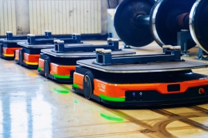 4名“新员工”上岗！本事了得！