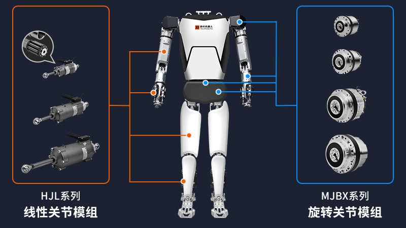 人形机器人关节