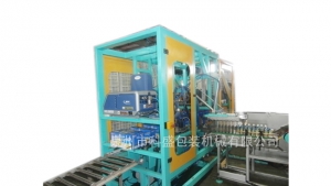 全自动软袋装箱机