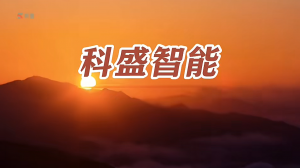 福建科盛智能物流装备有限公司，成立于1991年，扎根福建三十余载，是集设计、研发、生产、销售、售后为一体的商业智能物流综合服务解决方案商。