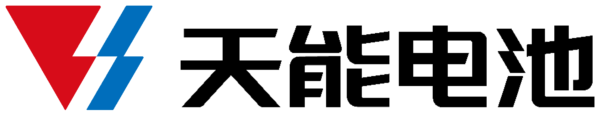 浙江省长兴天能电源有限公司