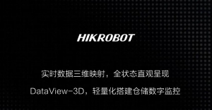 30万+料箱流畅渲染！仓储可视化，选DataView-3D就够了