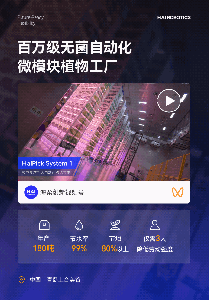 仓储机器人开始种菜之后，950㎡种植区竟年产180吨！